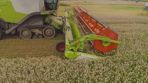 A close-up view of a harvester cutting wheat in a field. Stock-Footage 252423985