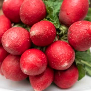 Close-up view of heap small red radish with green leaves at the market. Space Stock Photos