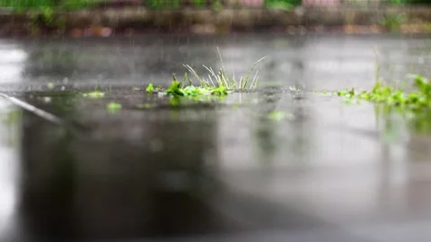 Close-up view of heavy rain falling into puddles on asphalt. Raindrops on the Stock-Footage 316614858