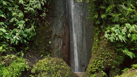 Close View of Hidden Jungle Waterfall Flowing Between Moss Covered Rocks Into Ca Stock Footage 337016920