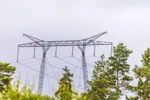 Close up view of high-voltage power transmission towers rising above pine forest Stock Photos