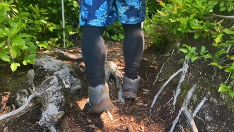 Close-up view of a hiker using trekking poles while climbing a forest trail Stock Footage 338004686
