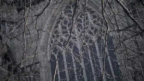 Close up view of Historic gothic building York Minster's windows 스톡 동영상 73290365