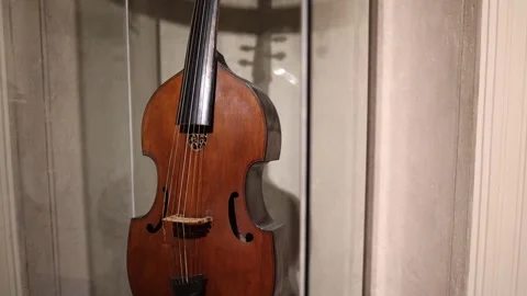 A close-up view of a historical string instrument, possibly a viola da gamba or  Stock Footage 293565088