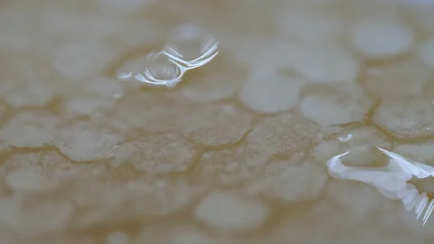 A close up view of the honeycomb cells. Stock Footage 166813625