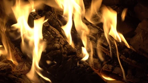 Close up view of a huge burning firewood Stock Footage 118330621