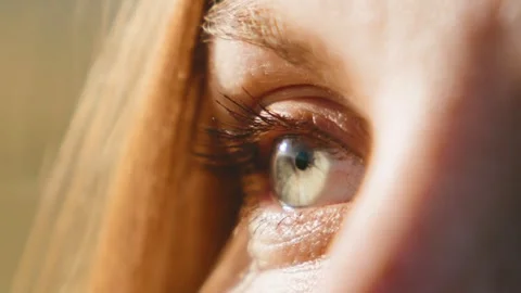 Close-up view of a human eye with natural light shining on it during a sunny day Stock Footage 343842797