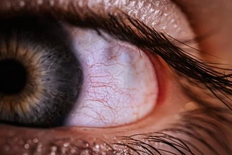 Close-up view of a human eye showcasing intricate details of iris, pupil, a.. Stock Photos