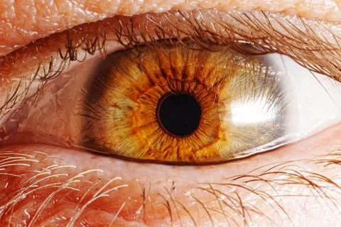 Close-up view of a human eye showing details of iris and pupil Stock Photos