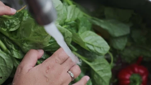Close-Up View of Human hand Holds Bunch of Fresh Green Spinach and Pours it with Stock Footage 273131234