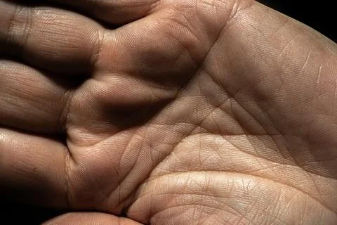 Close-up view of a human palm showcasing detailed skin texture, lines, and .. Stock Photos