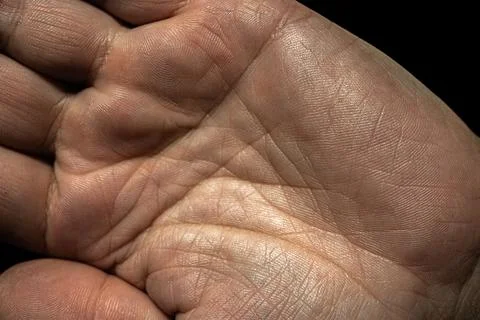 Close-up view of a human palm showing detailed skin texture, creases, and l.. Stock Photos