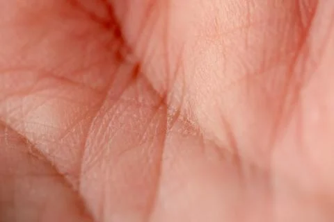 Close-up view of human palm texture indoor setting macro natural elements d.. 库存照片