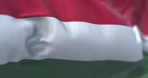 Close-up view of the Hungary national flag waving in the wind Stock-Footage 202284875
