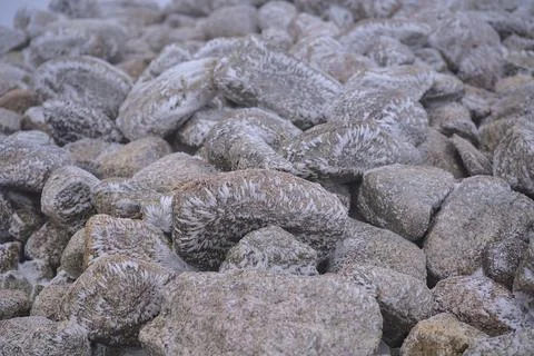 Close up view of icy structure on stones as a result of strong wind and frost Stock Photos
