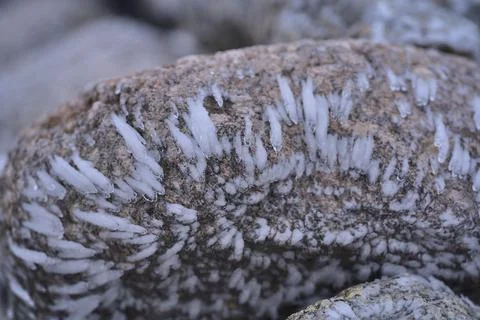 Close up view of icy structure on stones as a result of strong wind and frost Stock Photos