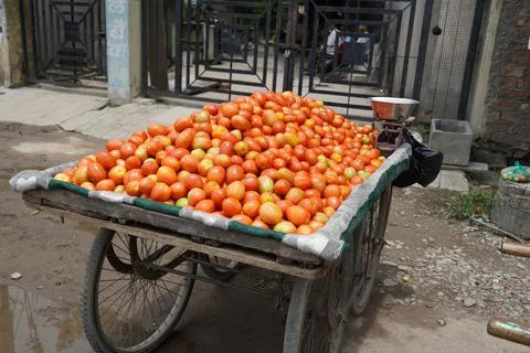 Close-up view of indian vegetable tomato being sold on push cart in outdoors. Фото