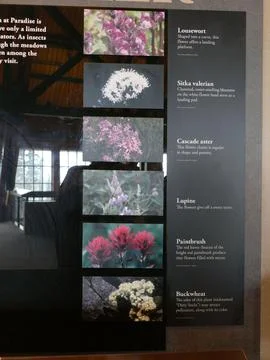 Close-up view of an informative sign detailing various wildflowers in the P.. Stock-Fotos