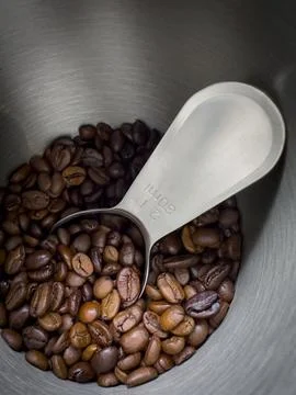 Close-up view inside a coffee container with scoop and coffee beans Stock Photos