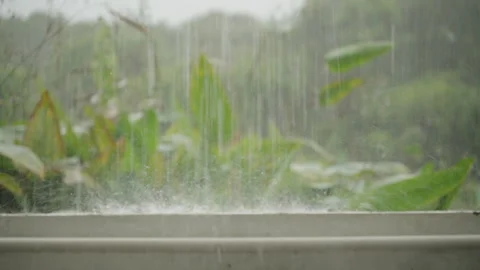 Close View of Intense Rain Splashing on Surface with Blurred Jungle Leaves in Stock Footage 309926581