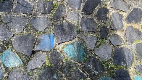 A close view of irregular dark cobblestones with green moss growing in cracks Foto stock