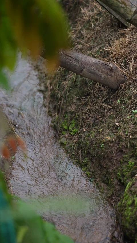 A close-up view of an irrigation system in a rice paddy field Stock Footage 344708094