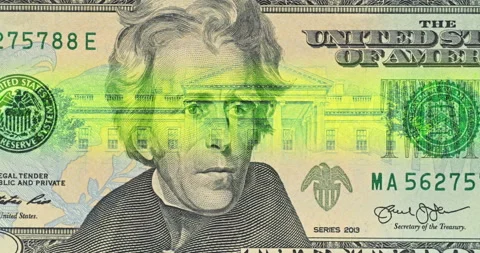 Close View of Jackson Bill. Video stock 346464856