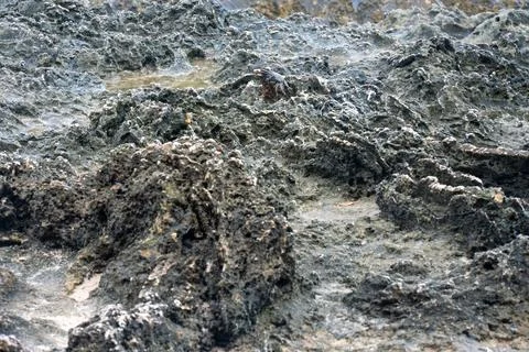 Close view of jagged limestone terrain and marine erosion beside the sea in Prov Photos