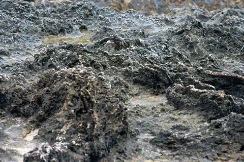 Close view of jagged limestone terrain and marine erosion beside the sea in Prov Stock-Fotos