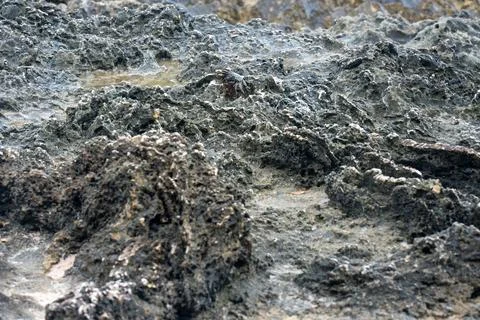 Close view of jagged limestone terrain and marine erosion beside the sea in Prov 스톡 사진