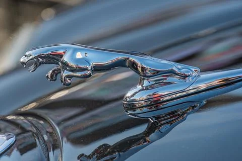 Close-up view of a Jaguars leaping cat emblem, rendered in metallic finish, o Stock Photos