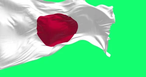 Close-up view of the Japan national flag waving in the wind Stock-Footage 223557779