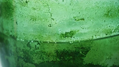 Close up view of jar with dirty green water being shaken. Dirt in house. Stock Footage 153551765