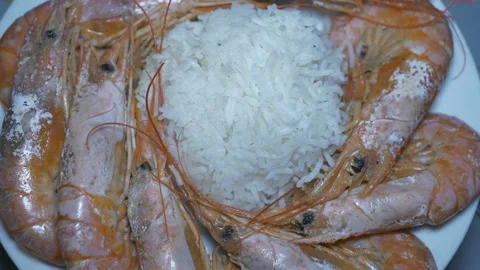 A close up view of king prawns with rice. Stock Footage 117421504