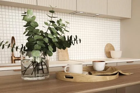 Close up view kitchen room interior with sink, oven and plant. Modern minimalist Illustrazione stock