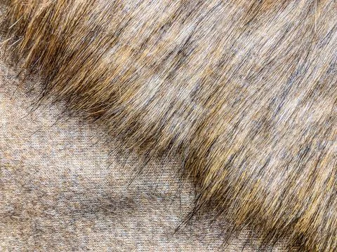 Close-up view of knitted fabric with loop structure, possibly wool or natur.. Stock Photos