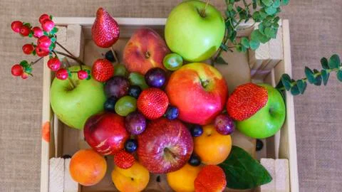 Close-up view of large collection fresh fruits useful for health. Harvesting  Stock Photos