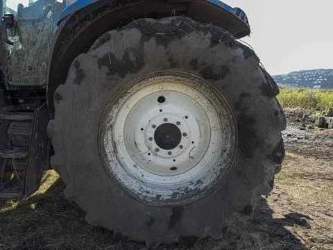 Close up view of large muddy rear wheel of blue agricultural tractor after .. Stock Photos