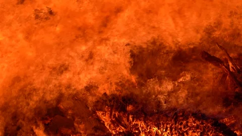 Close up view of a large pile of burning wood Stock Footage 241211935