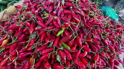 Close-up view of a large pile of fresh red chili peppers with green peppers Stock Footage 347153034