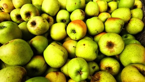 Close up view of a large pile of fresh green apples Stock Footage 348176284