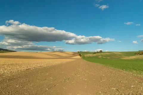 A close-up view of the large screws securing the train tracks during a sunny  Stock-Fotos