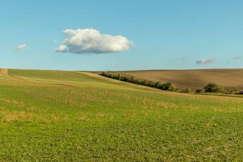 A close-up view of the large screws securing the train tracks during a sunny  Stock-Fotos