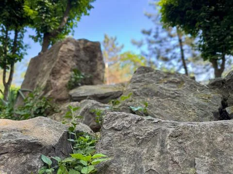 Close-up view of large textured rocks and green plants Stock Photos