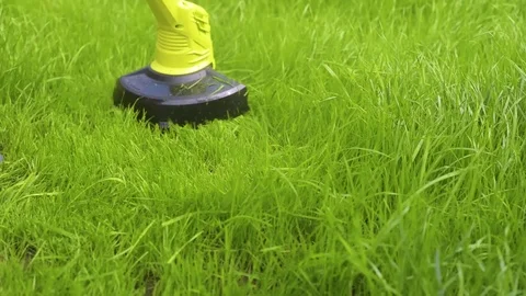 Close up view of lawm mover cutting the grass Stock Footage 107793003
