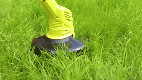Close up view of lawm mover cutting the grass Stock Footage 107793016