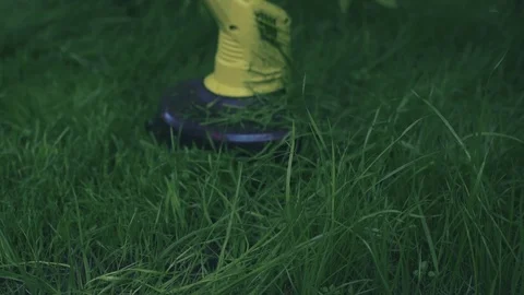 Close up view of lawm mover cutting the grass Stock Footage 107793031