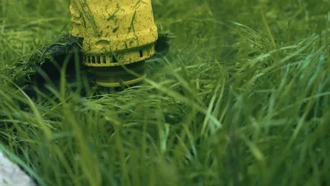 Close up view of lawm mover cutting the grass Stock Footage 107793053