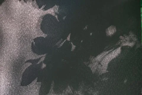 Close-up view of leaf pattern surface, primarily gray-brown, suggesting natur Stock Photos