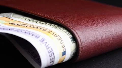 Close up view of leather wallet with Indian rupee (INR) banknotes. Stock Footage 304250231